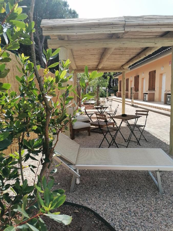 Le Palme Albinia