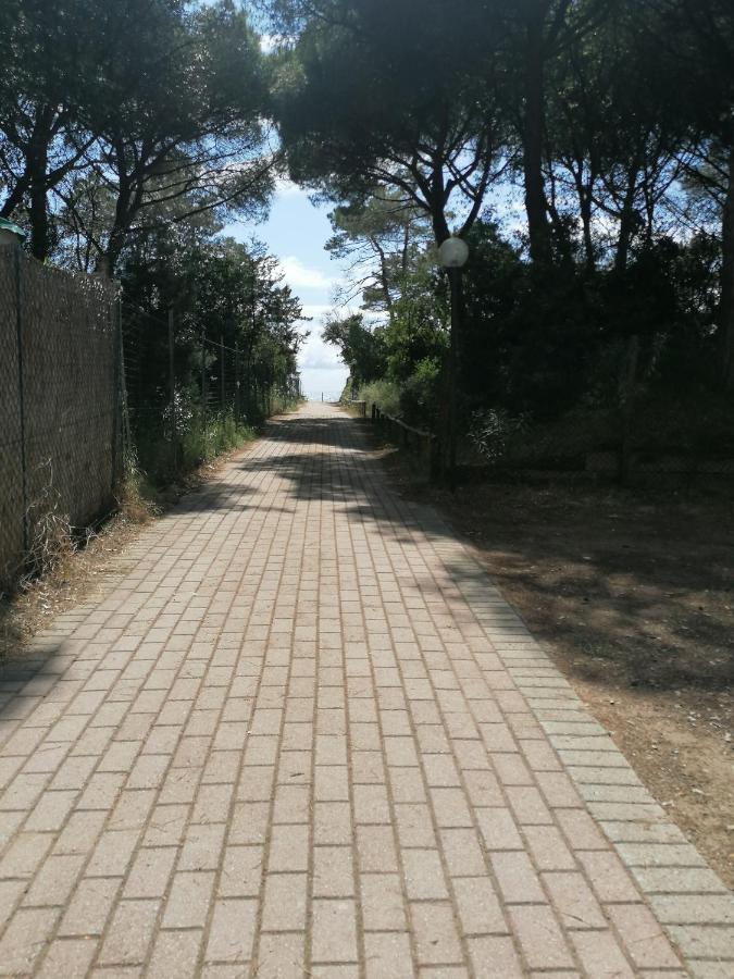 Le Palme Albinia